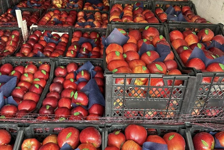 Apples packed in crates